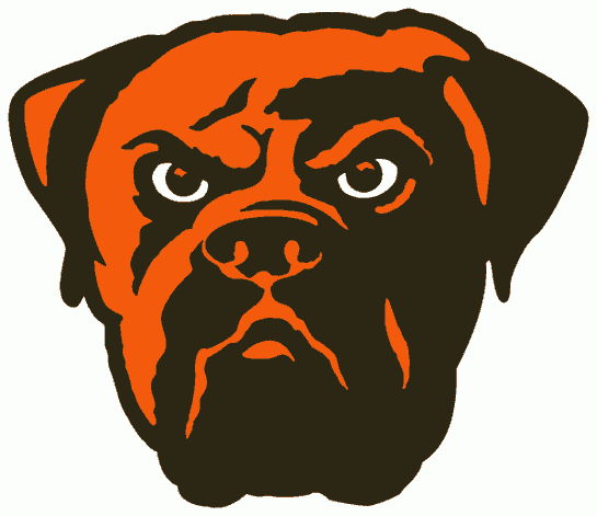 Cleveland Browns 2003-2014 Alternate Logo t shirt iron on transfers...